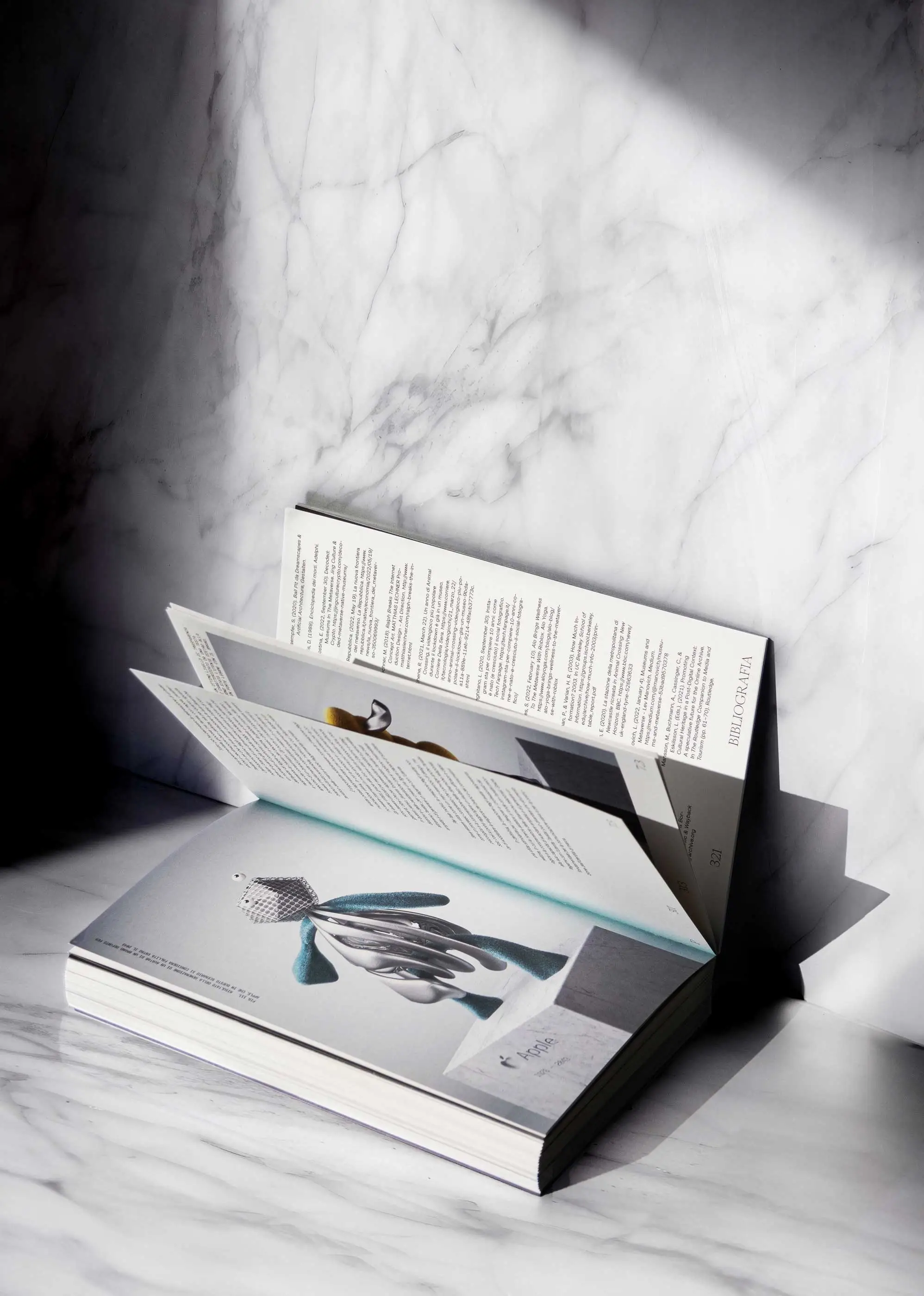 Beyond The Brand's Grave Master Thesis Book and Reasearch — Project Chapter | Carlotta Bacchini