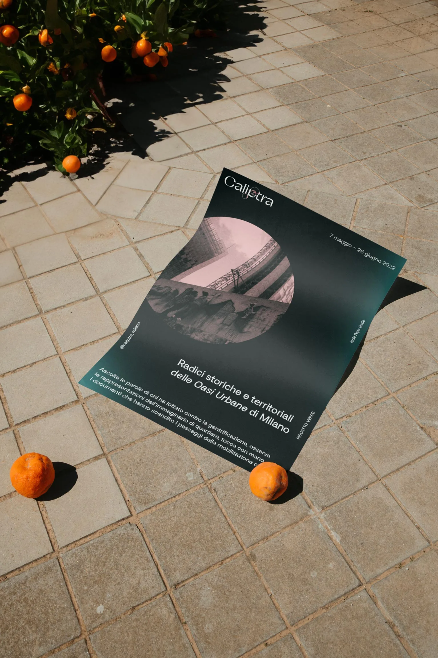 Caliptra Poster | Carlotta Bacchini